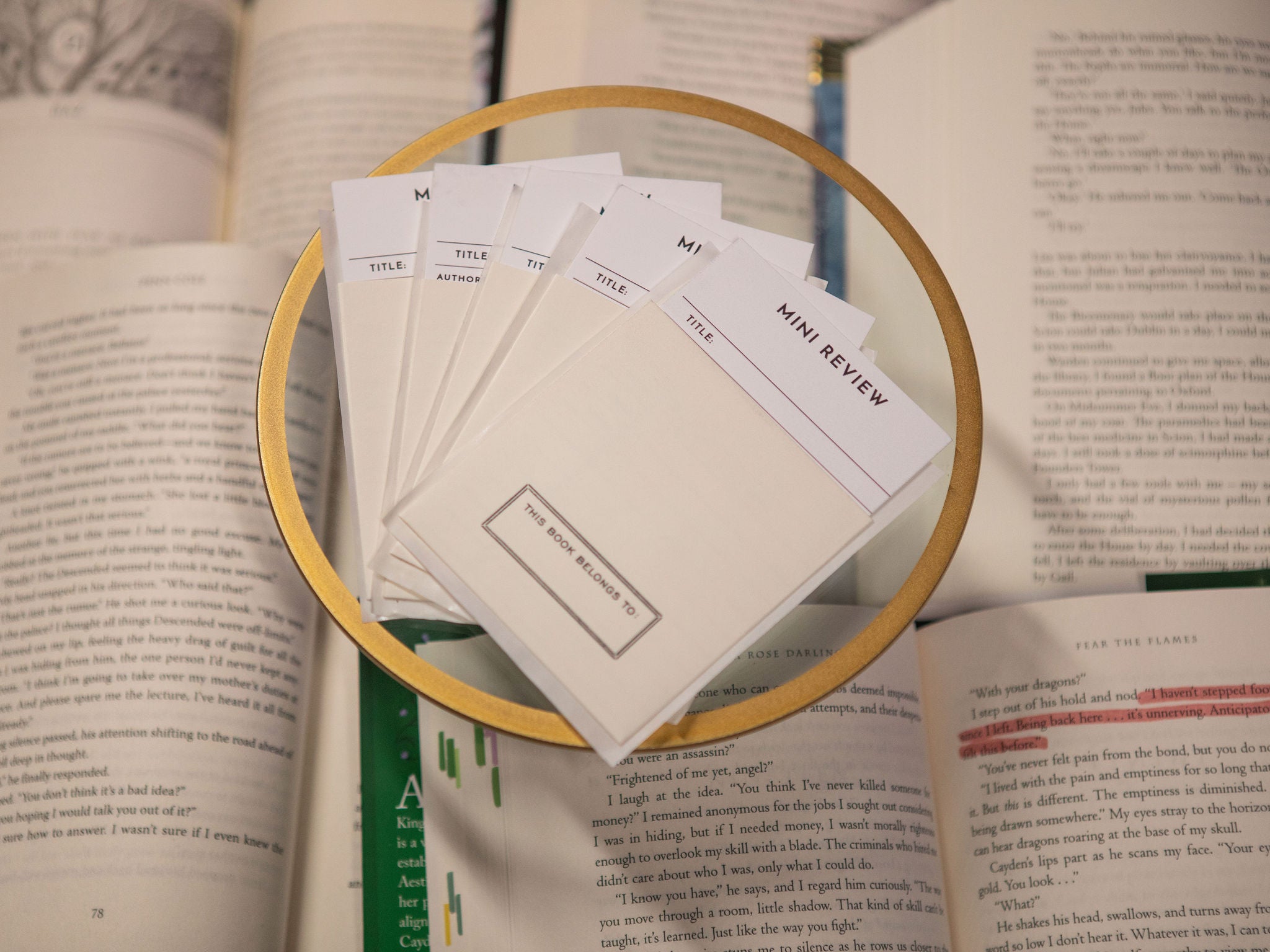 Mini Book review cards with Library Pockets QTY 10