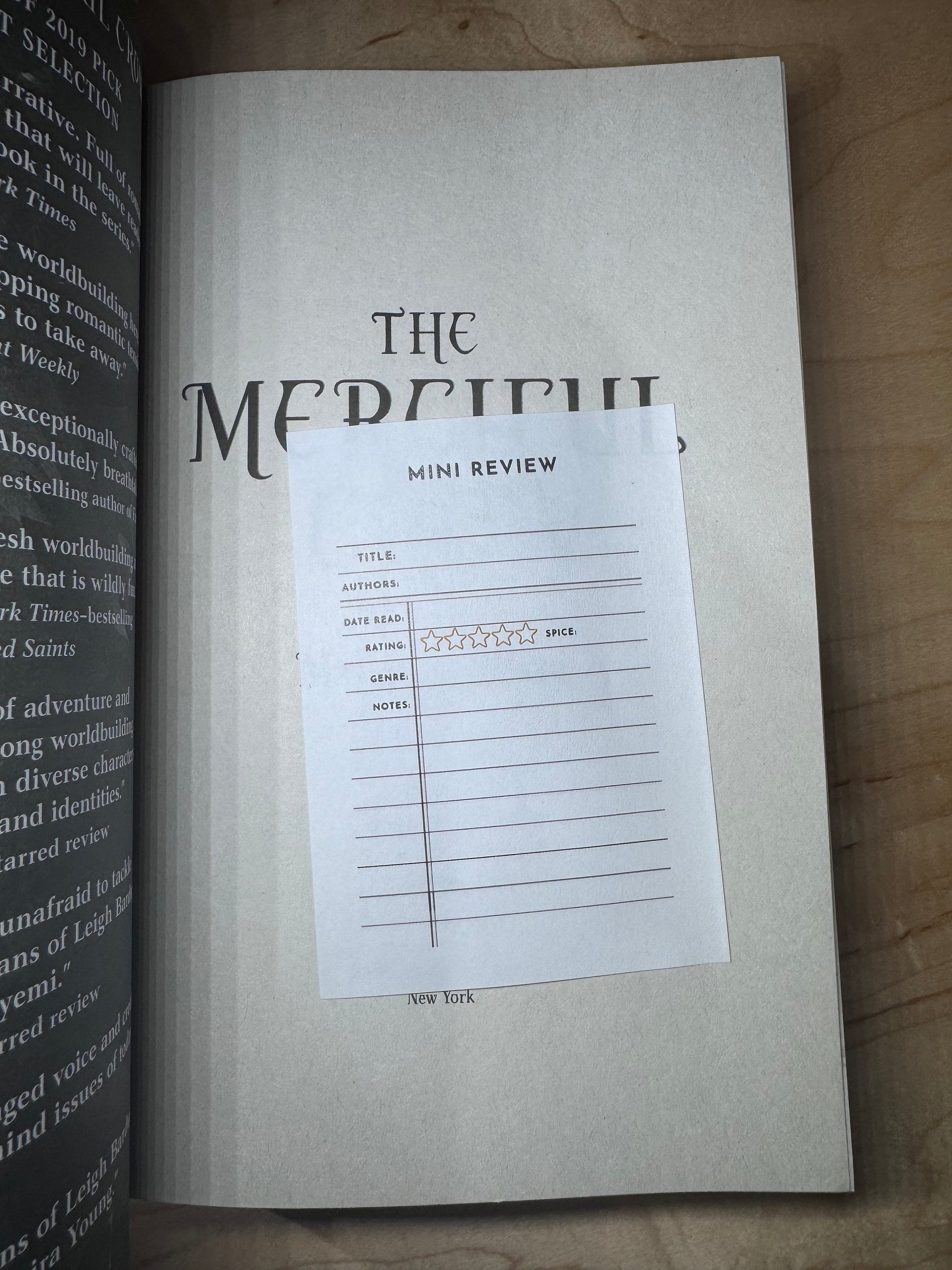 Mini Book review sticky notes