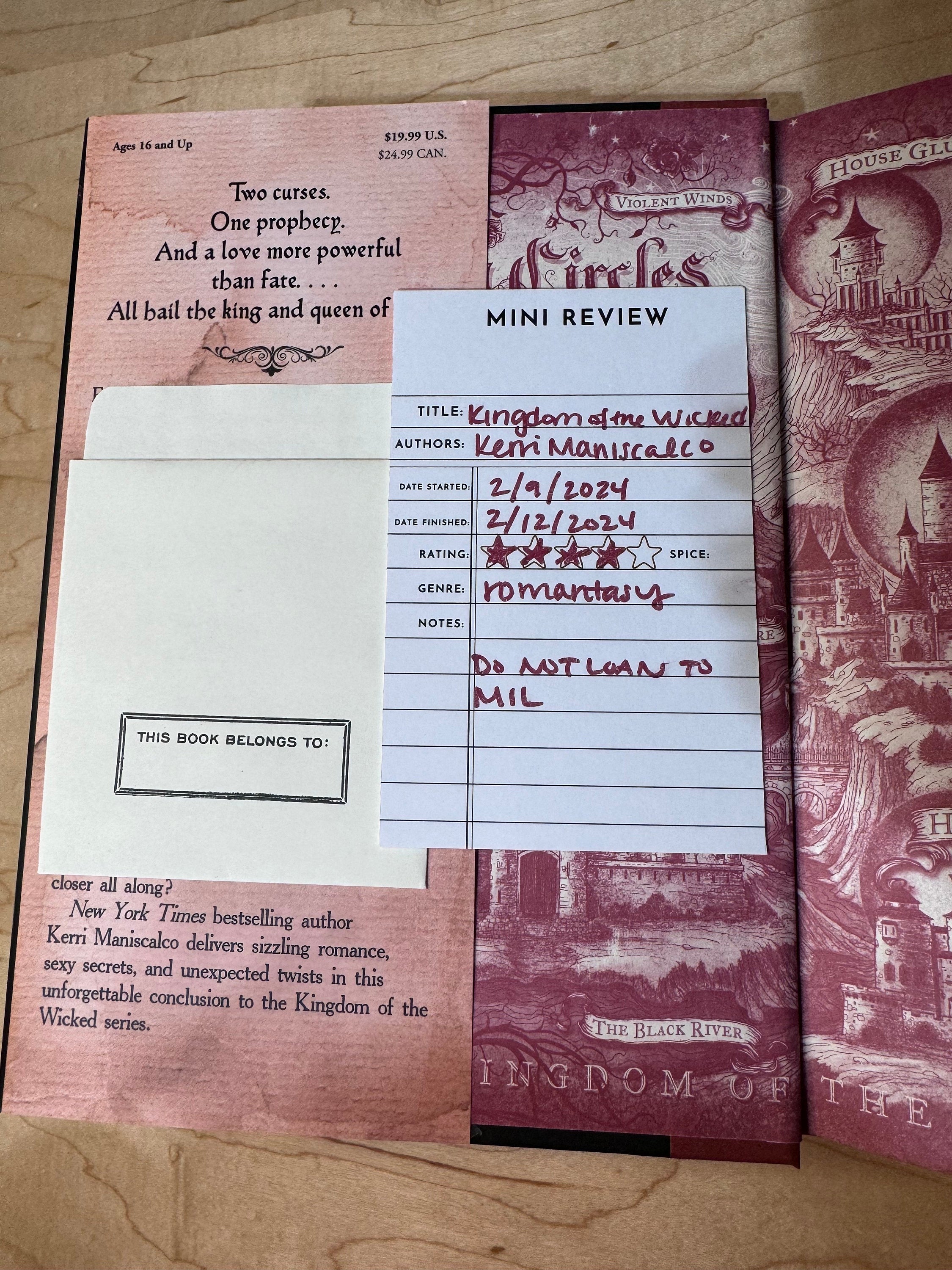 Mini Book review cards with Library Pockets QTY 10